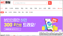 싸다파일 이미지